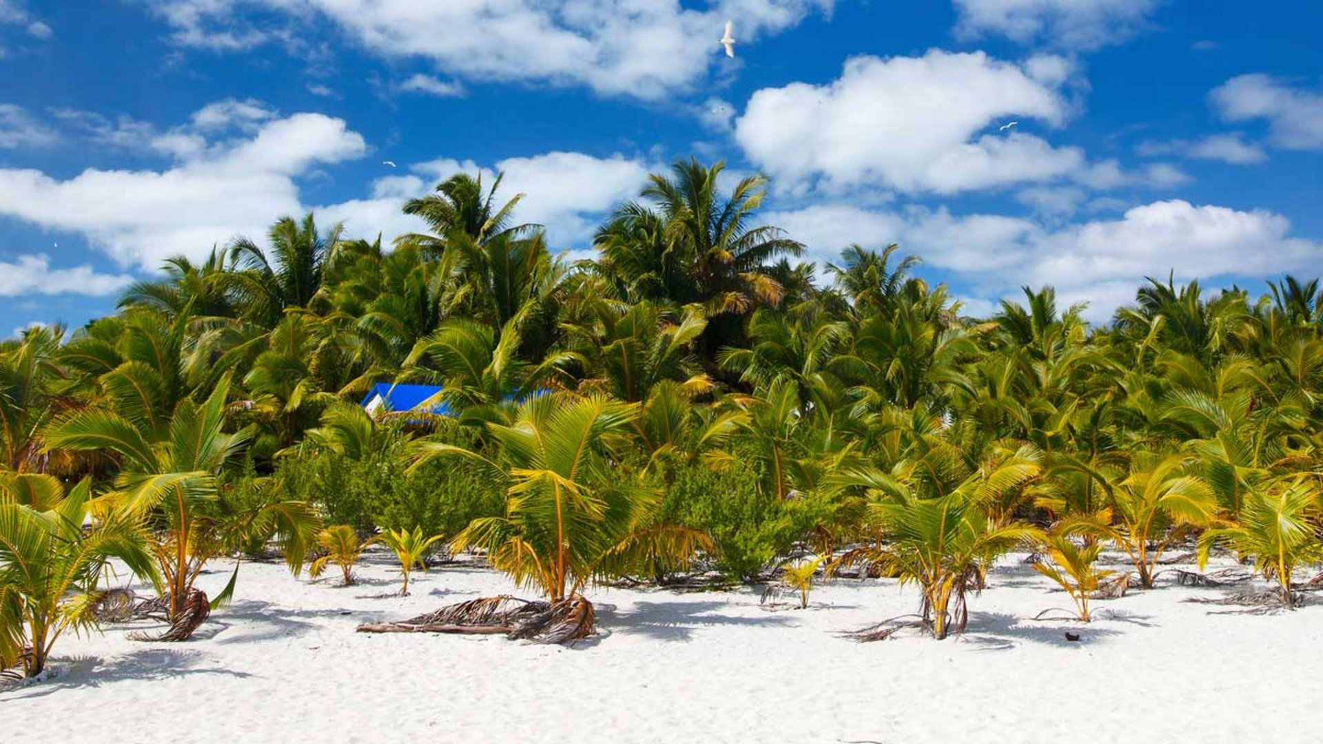 Cook Islands