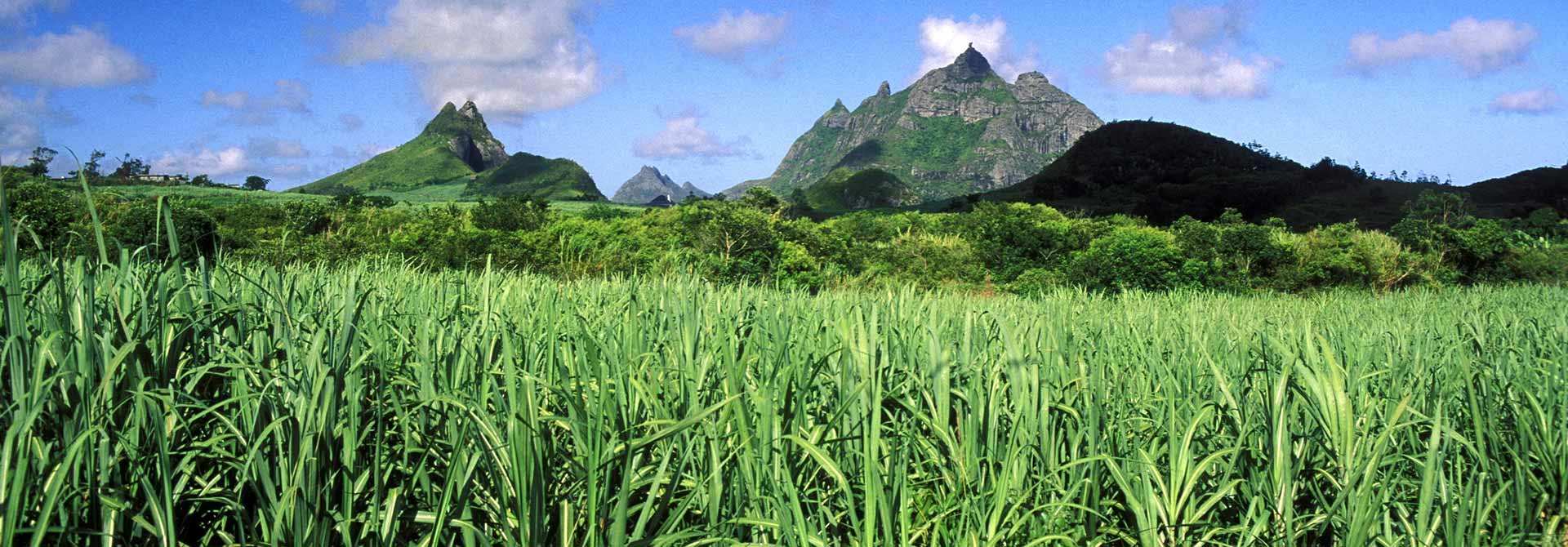 Mauritius