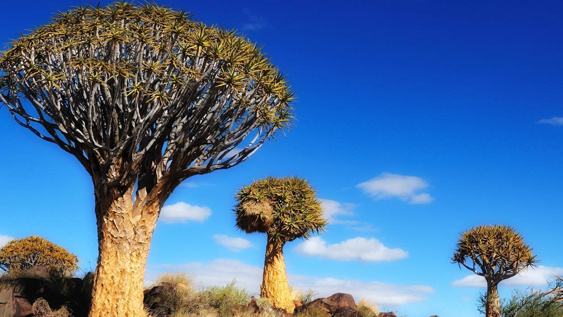 Namibia