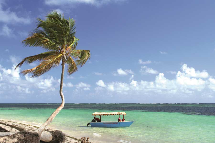 Fiji Teaserbild