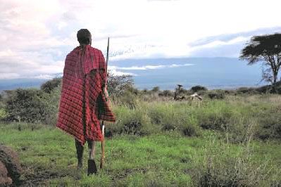 Kenia Teaserbild
